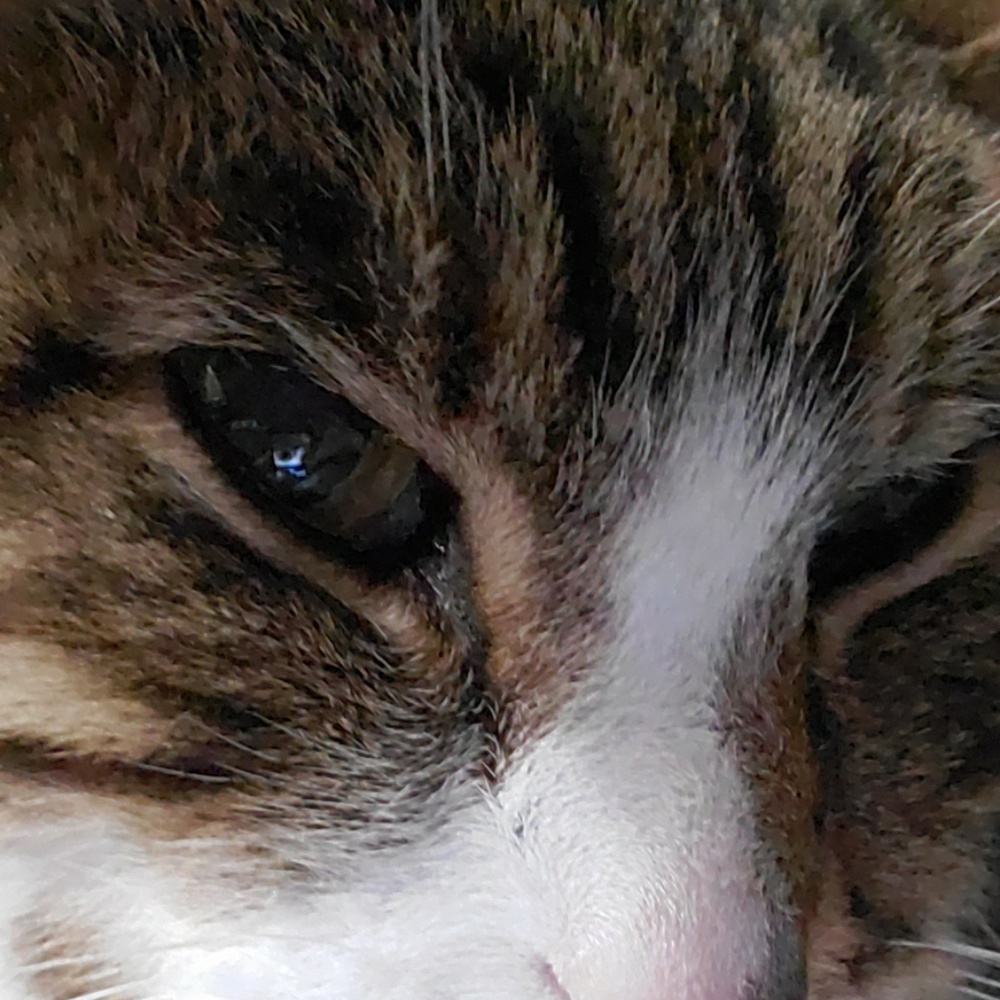 Meet your Posher, Derek